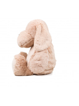 peluche chien avec prénom et date de naissance brodé