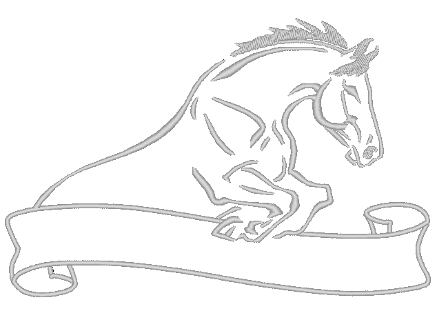 broderie de cheval CSO avec bandeau pour personnalisé avec prénom ou nom du cheval inséré